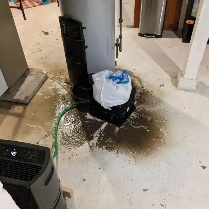 Sewage Backup Cleanup Service in Dillon County, SC